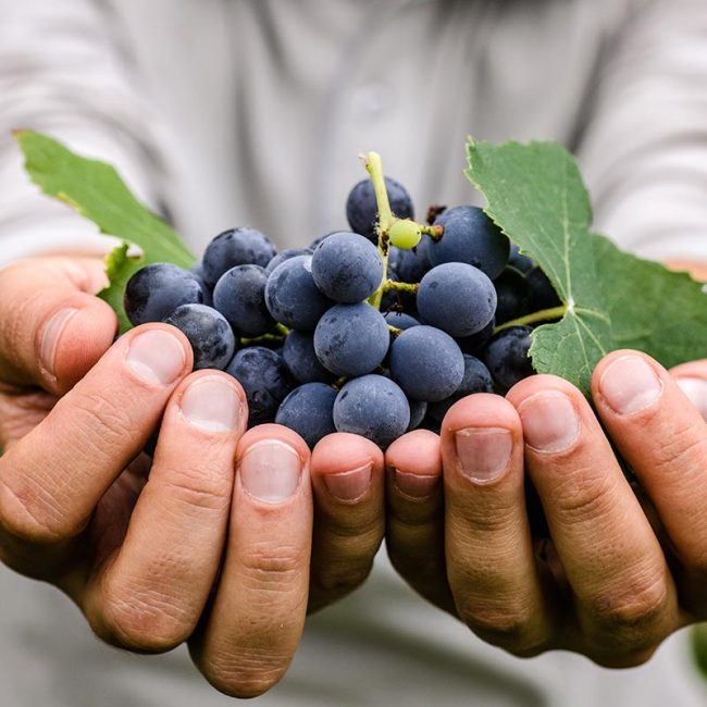 Harvesting